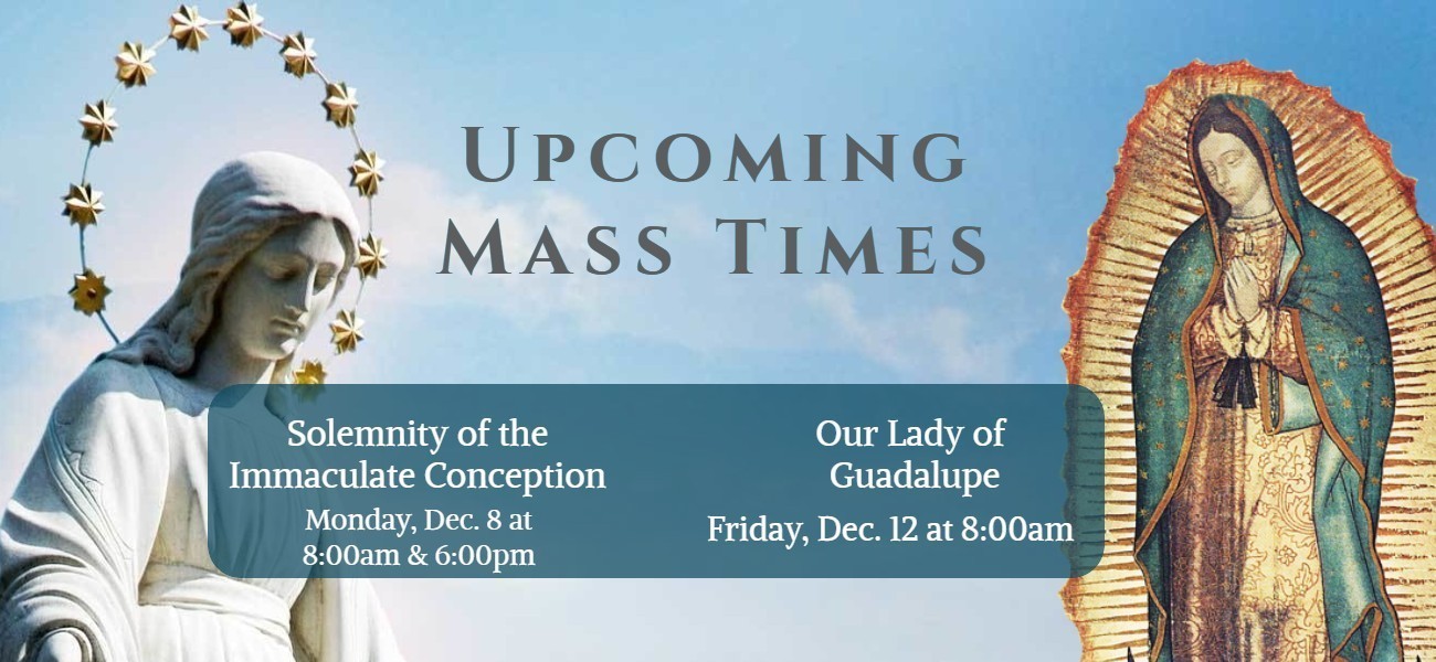 Immaculate Conception Guadalupe 1